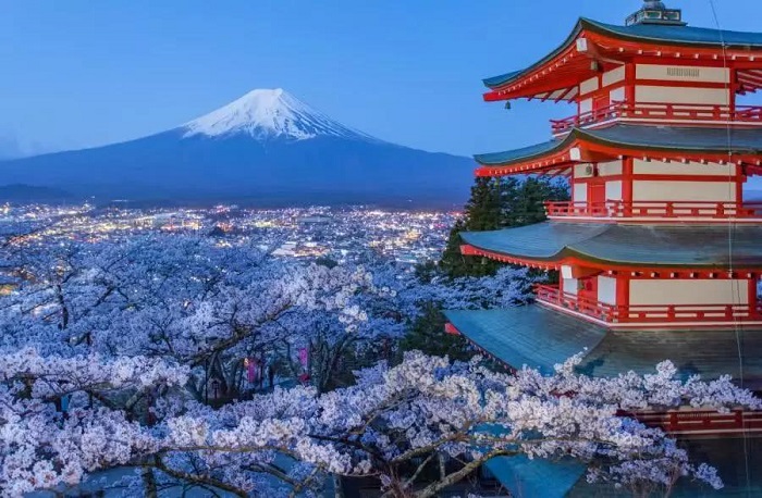 一般日本商標注冊費是多少？辦理日本商標注冊的流程。